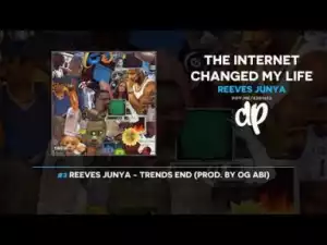 The Internet Changed My Life BY Reeves Junya